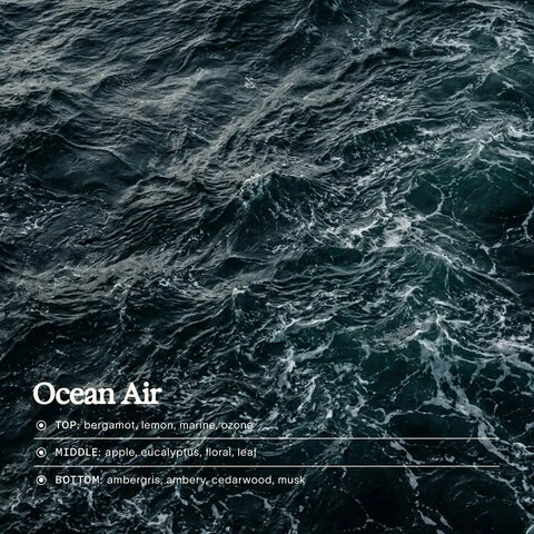 Whole Body Deodorant